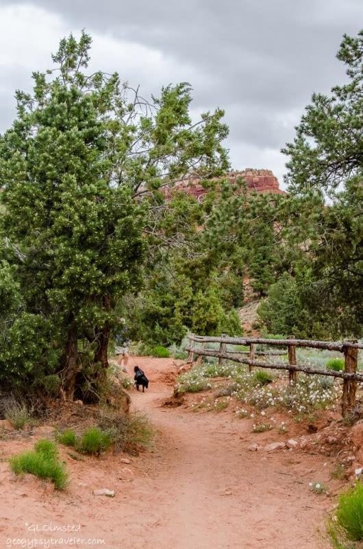 Timber & Tin D 2Bed 2Bath W Pool & Rooftop Deck Kanab Exterior photo