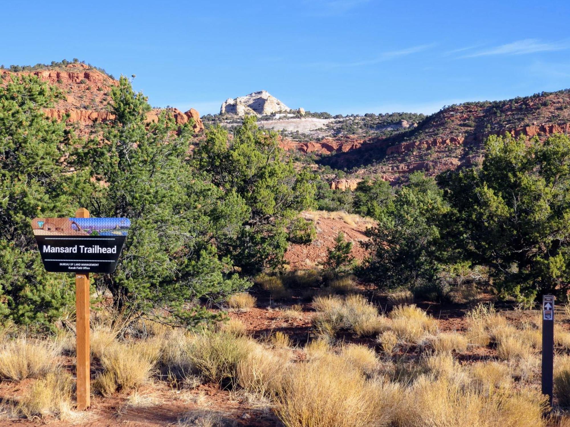 Timber & Tin D 2Bed 2Bath W Pool & Rooftop Deck Kanab Exterior photo